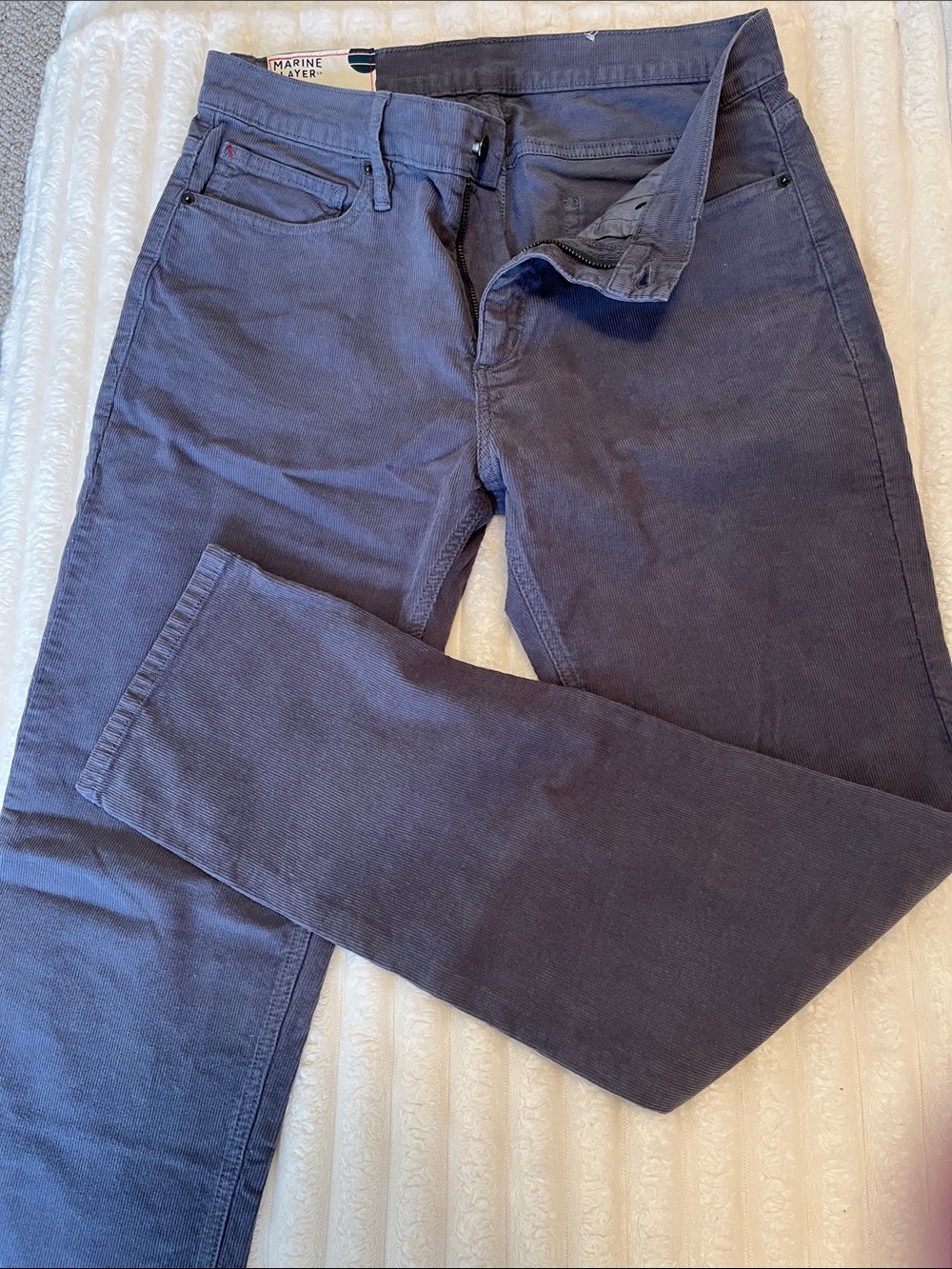 Marine Layer Men's Gray Corduroy Pants